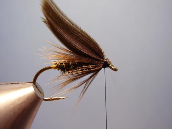 Leadwing Coachman