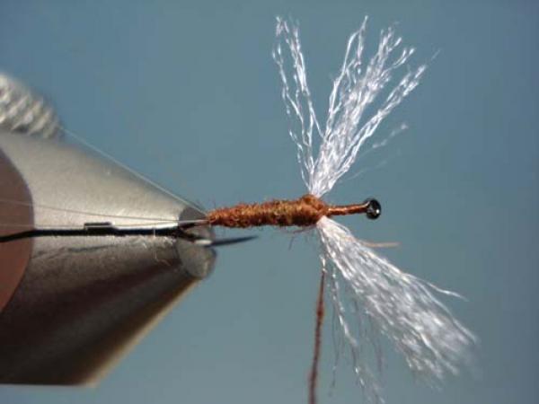 Poly Wing Rusty Spinner