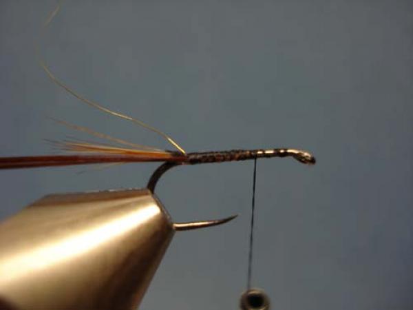 Pheasant Tail Cruncher