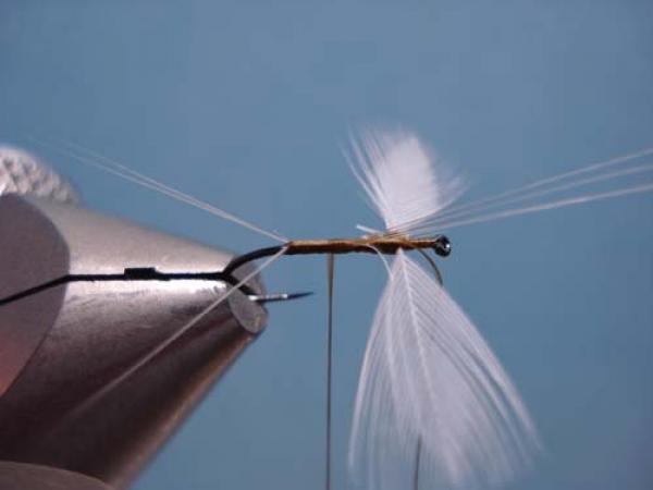 Hen Wing Sulphur Spinner
