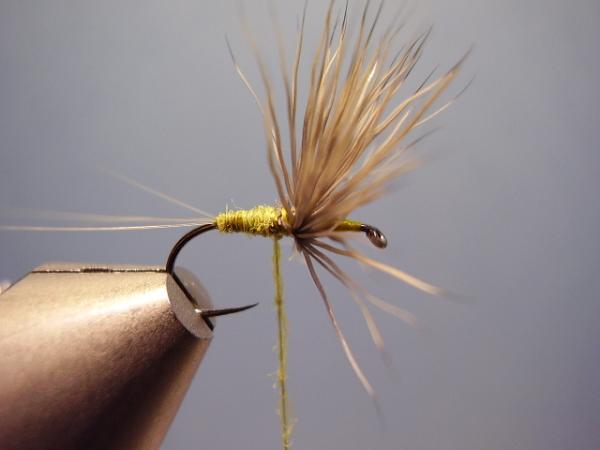 Blue-Winged Olive Comparadun
