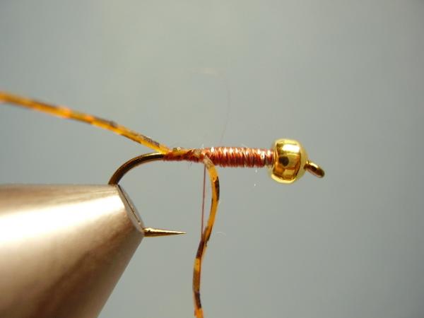 LW's Light Frontliner