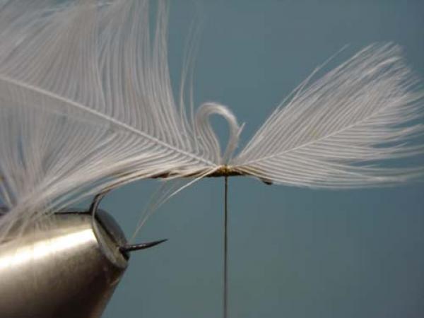 Hen Wing Sulphur Spinner