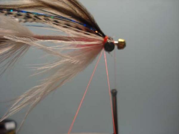 White Intruder Tube Fly