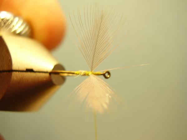 Blue-Winged Olive Catskill