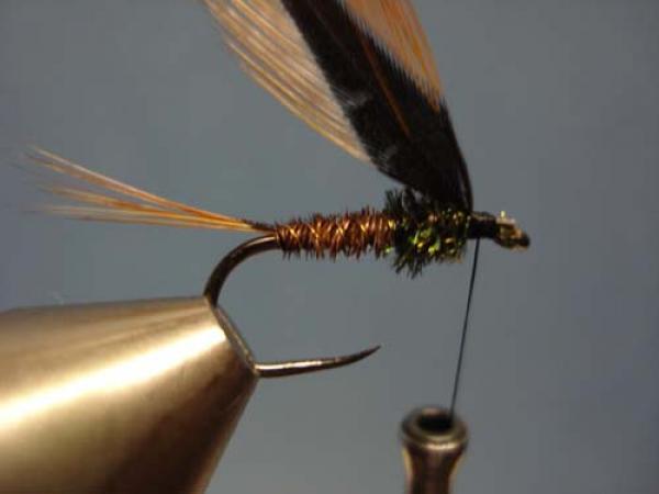 Pheasant Tail Cruncher