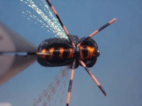 LW's Periodical Cicada