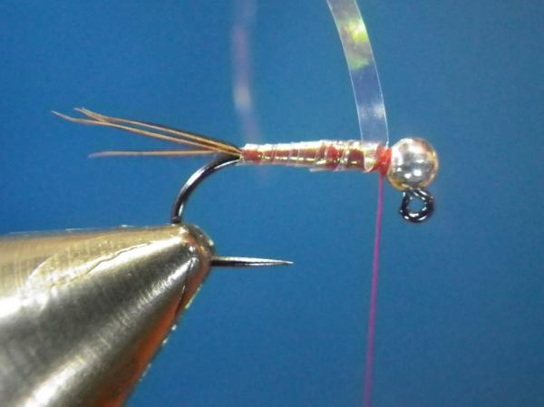 Egan's Pearl Rainbow Warrior