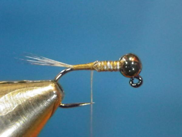 LW's Intestinal Bug
