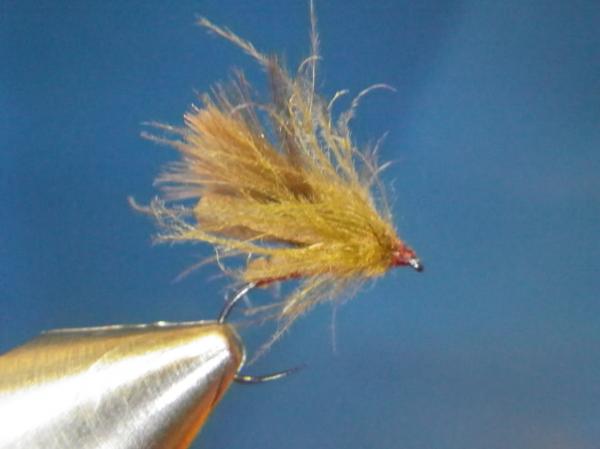 LW's F-Plus Caddis
