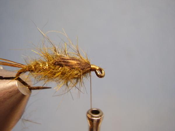 Olive Gold-Ribbed Hares Ear