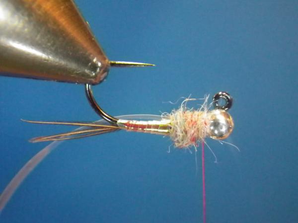 Egan's Pearl Rainbow Warrior