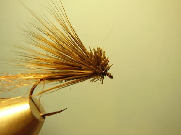 Grannom X-Caddis
