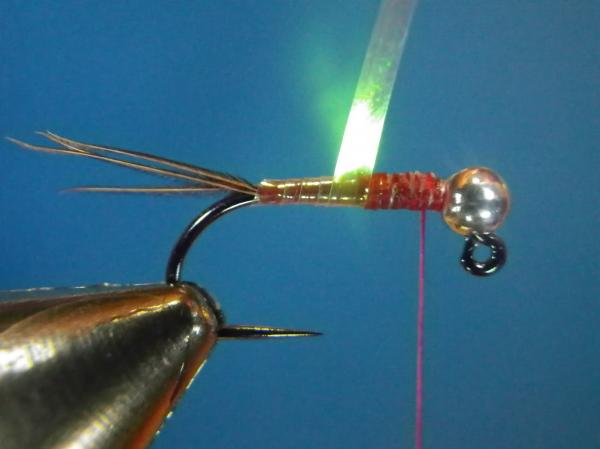 Egan's Pearl Rainbow Warrior
