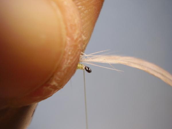 Sulphur Parachute