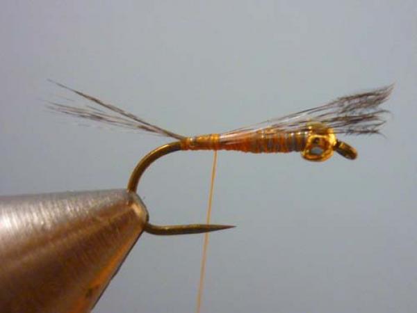 LW's Orange BB