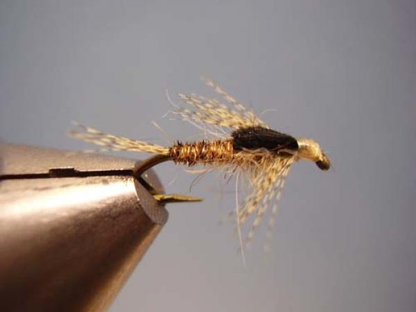 LW's Light Quill Sulphur