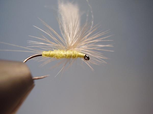 Sulphur Parachute