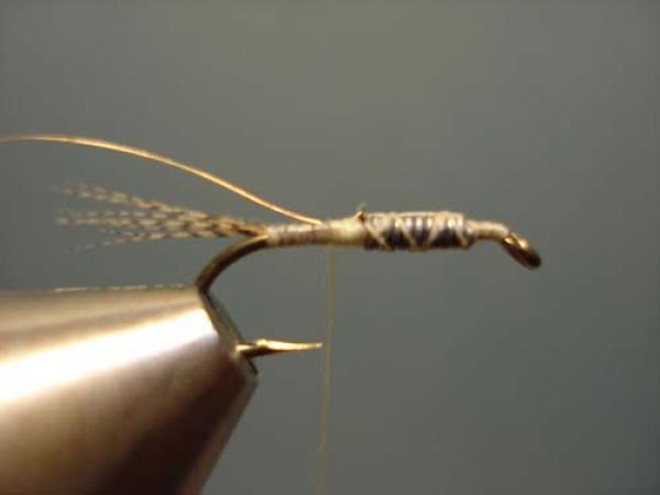 LW's Light Quill Sulphur