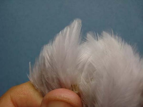 Hen Wing Sulphur Spinner