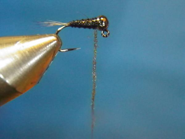 LW's Intestinal Bug