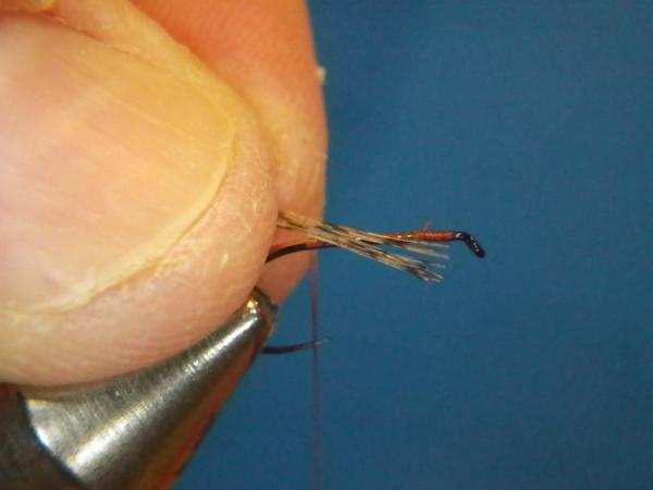LW's Isonychia F-Plus