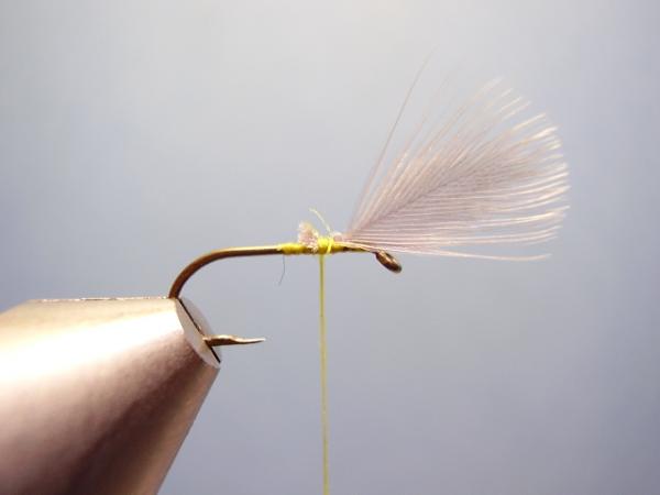 Blue-Winged Olive Catskill