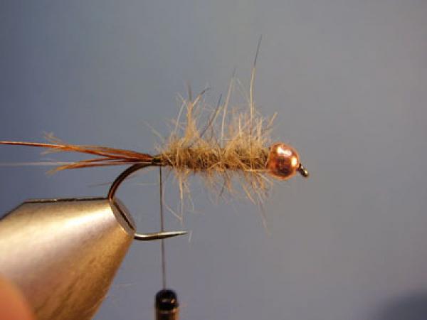Hare and Copper
