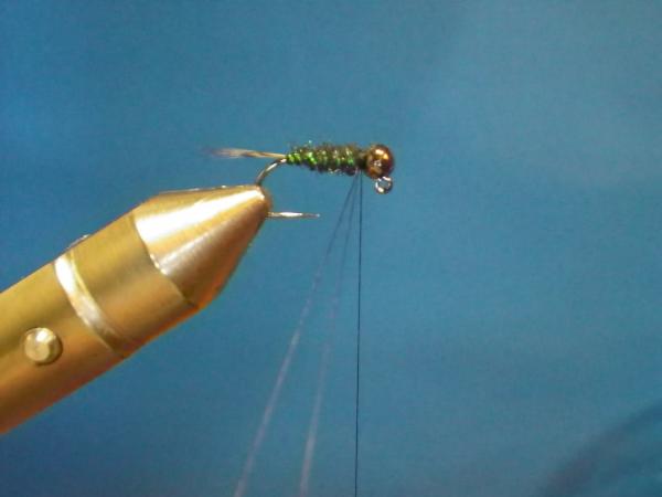 LW's Itchy