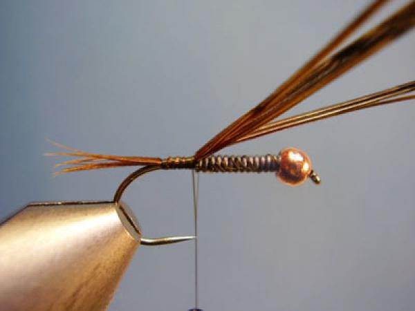 Hare and Copper