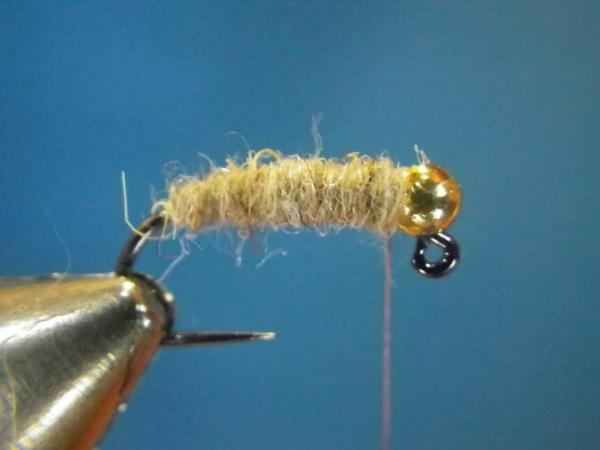 Walt's Worm
