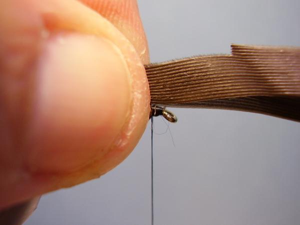 Leadwing Coachman