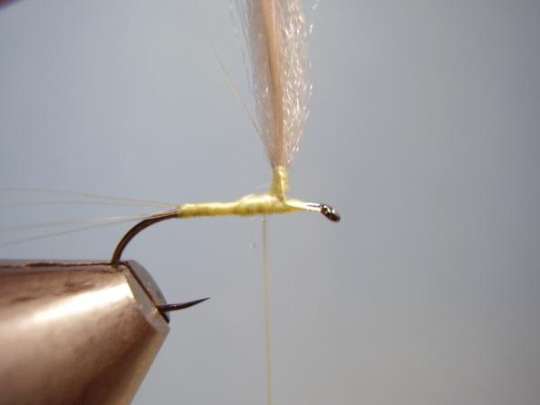 Sulphur Parachute