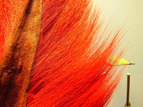 Mickey Finn