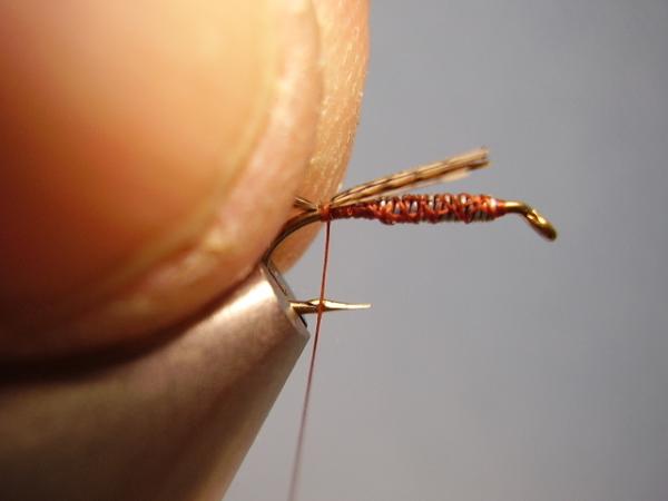 LW's Dark Quill Sulphur
