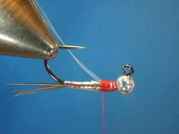 Egan's Pearl Rainbow Warrior