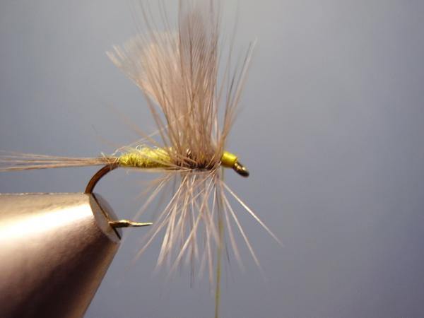 Blue-Winged Olive Catskill