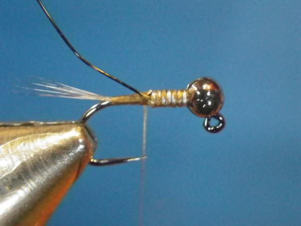 LW's Intestinal Bug