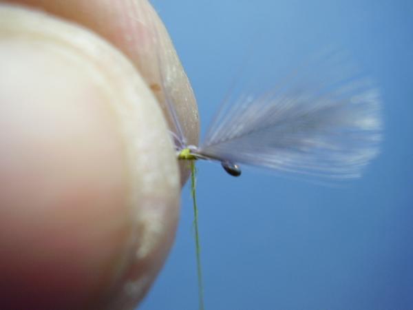 Blue-Winged Olive Catskill