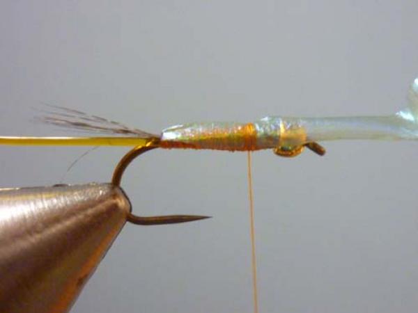 LW's Orange BB