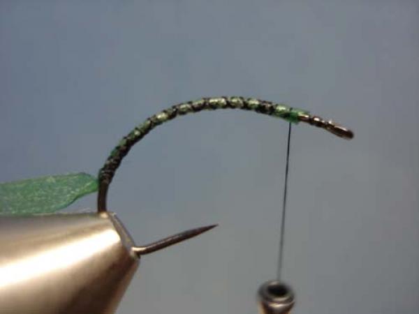 Rhyacophilia