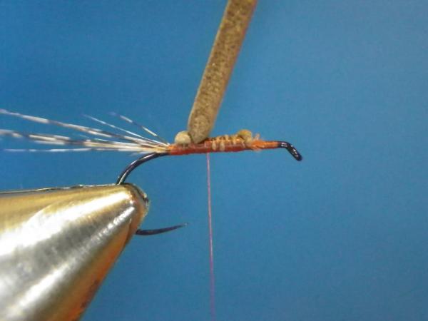 LW's Isonychia F-Plus