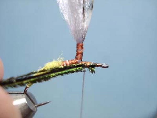 Olive Klinkhamer Special