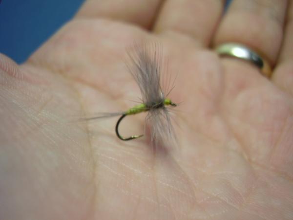 Blue-Winged Olive Catskill