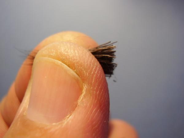 Grannom X-Caddis