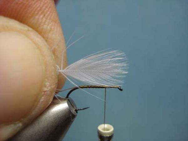 Hen Wing Sulphur Spinner