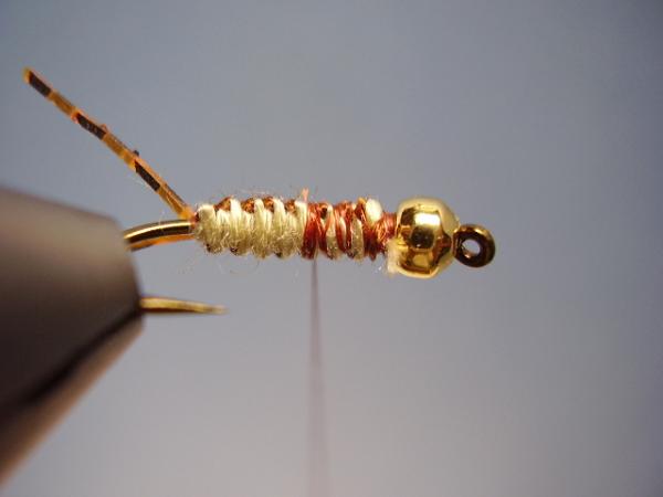 LW's Light Frontliner