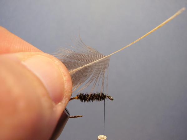 Leadwing Coachman