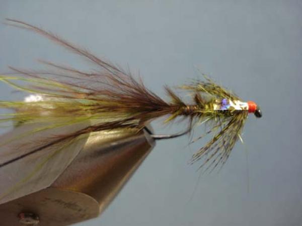 Little Pine Damsel