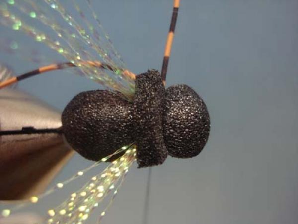 LW's Periodical Cicada